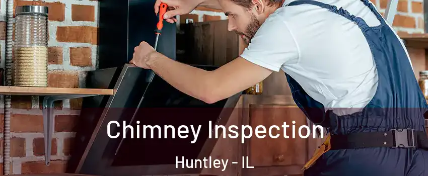  Chimney Inspection Huntley - IL