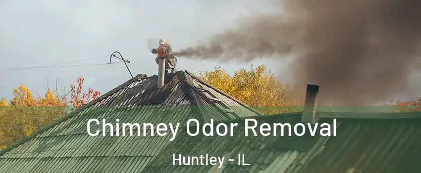  Chimney Odor Removal Huntley - IL