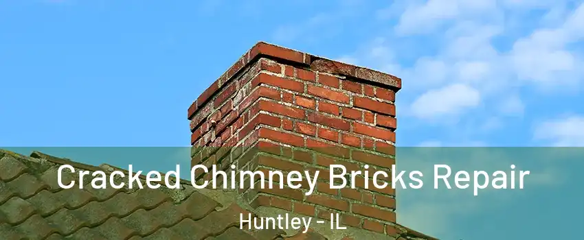  Cracked Chimney Bricks Repair Huntley - IL