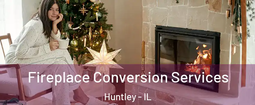  Fireplace Conversion Services Huntley - IL