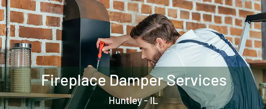  Fireplace Damper Services Huntley - IL