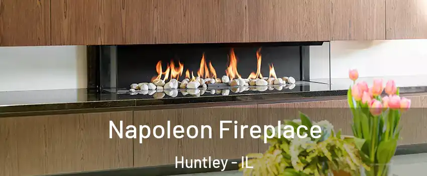  Napoleon Fireplace Huntley - IL